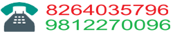 Ronak Cargo Packers Contact Number